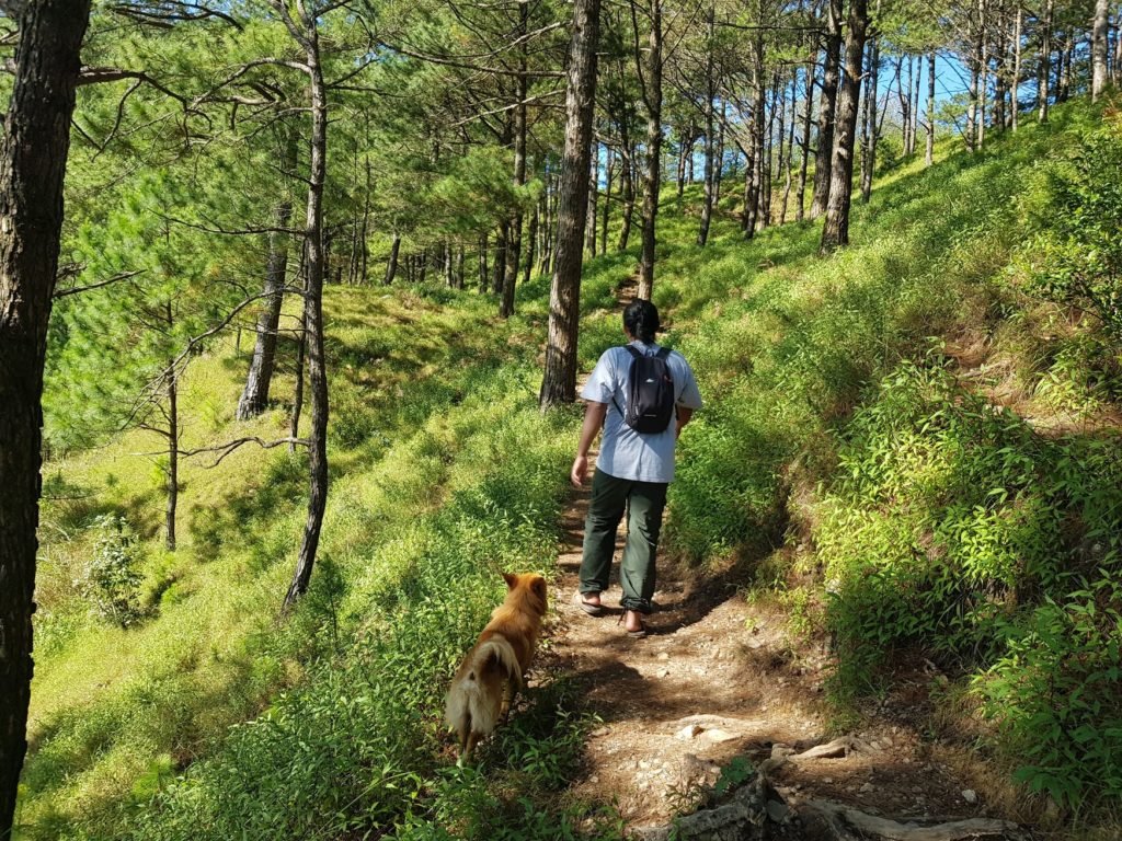 10 Benefits of HIking and Why It's Good for You